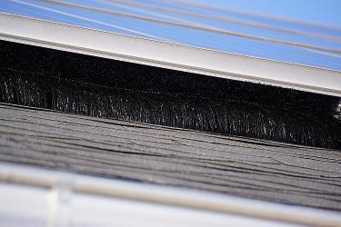 Taubenschutz Bürste 15cm Taubenschutz Bürste 15cm